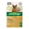 advantage-for-kittens-small-cats-up-to-4kg-1.jpg
