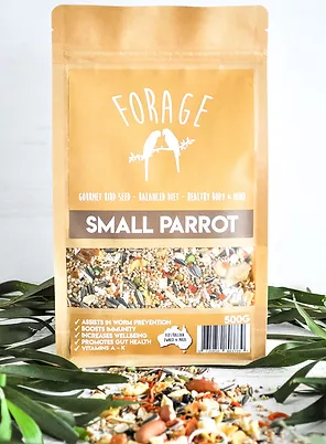forage_small_parrot2.jpg